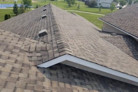 Eco-Friendly Roofing Options: Sustainable Choices for Your Home